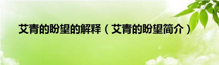 艾青的盼望的解释（艾青的盼望简介）