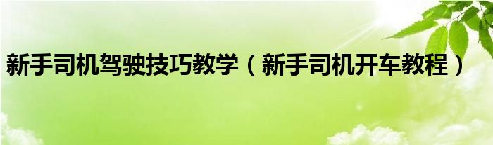 新手司机驾驶技巧教学（新手司机开车教程）
