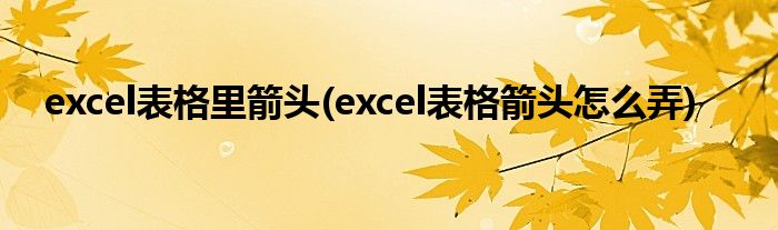 excel表格里箭头(excel表格箭头怎么弄)