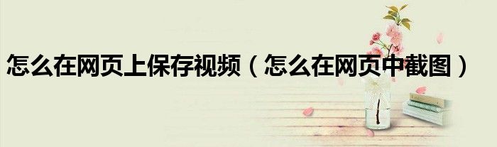 怎么在网页上保存视频（怎么在网页中截图）