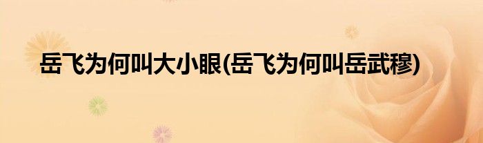 岳飞为何叫大小眼(岳飞为何叫岳武穆)