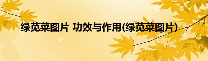 绿苋菜图片 功效与作用(绿苋菜图片)