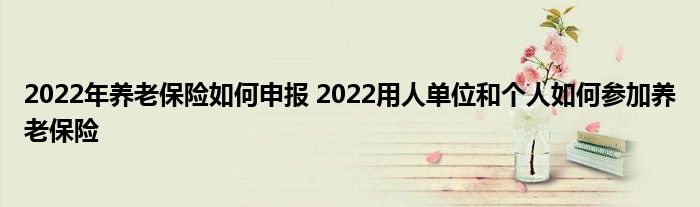 2022年养老保险如何申报 2022用人单位和个人如何参加养老保险