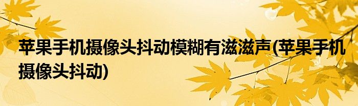 苹果手机摄像头抖动模糊有滋滋声(苹果手机摄像头抖动)
