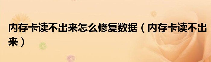 内存卡读不出来怎么修复数据（内存卡读不出来）