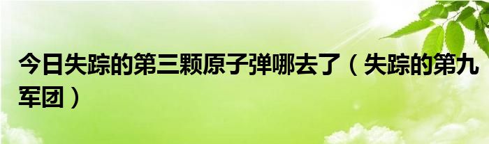 今日失踪的第三颗原子弹哪去了（失踪的第九军团）
