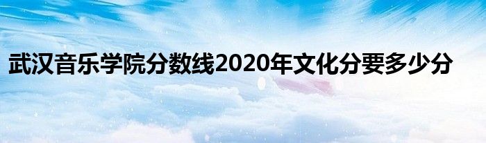武汉音乐学院分数线2020年文化分要多少分