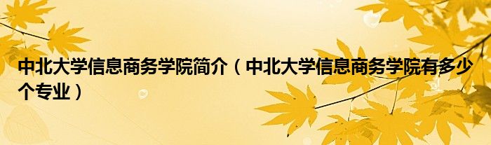 中北大学信息商务学院简介（中北大学信息商务学院有多少个专业）