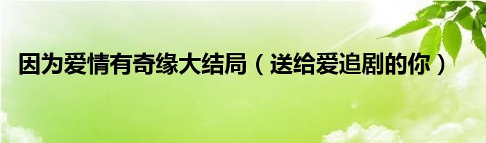 因为爱情有奇缘大结局（送给爱追剧的你）