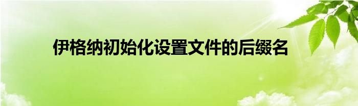 伊格纳初始化设置文件的后缀名