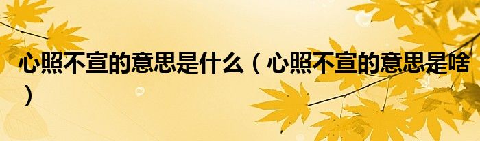 心照不宣的意思是什么（心照不宣的意思是啥）