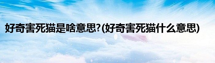 好奇害死猫是啥意思?(好奇害死猫什么意思)