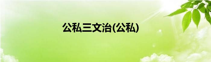公私三文治(公私)