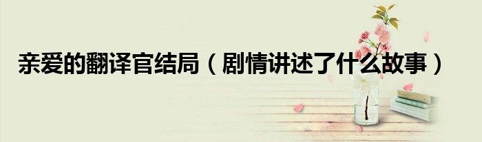 亲爱的翻译官结局（剧情讲述了什么故事）