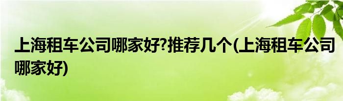 上海租车公司哪家好?推荐几个(上海租车公司哪家好)