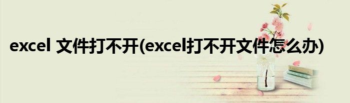 excel 文件打不开(excel打不开文件怎么办)