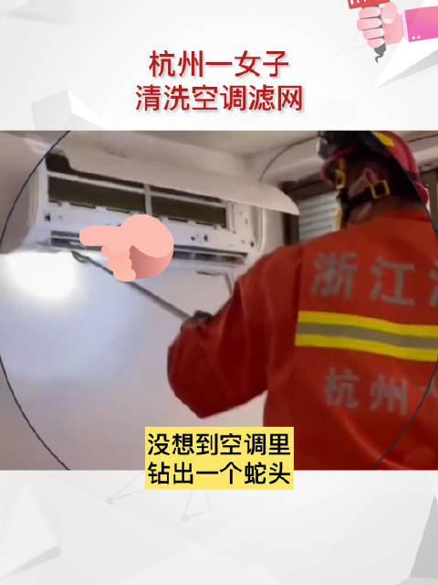 女子清洗空调不料钻出蛇头