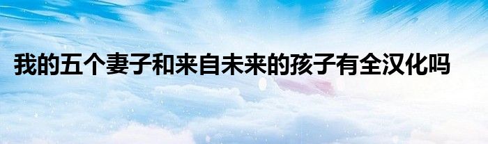 我的五个妻子和来自未来的孩子有全汉化吗
