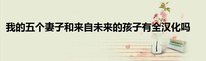 我的五个妻子和来自未来的孩子有全汉化吗