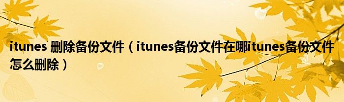 itunes 删除备份文件（itunes备份文件在哪itunes备份文件怎么删除）