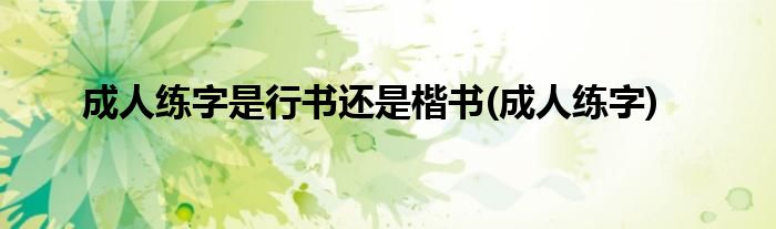 成人练字是行书还是楷书(成人练字)