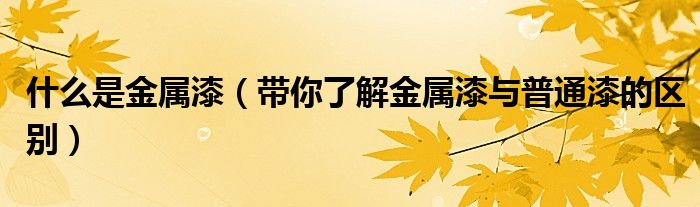 什么是金属漆（带你了解金属漆与普通漆的区别）