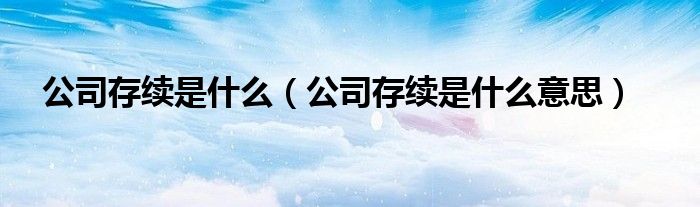 公司存续是什么（公司存续是什么意思）
