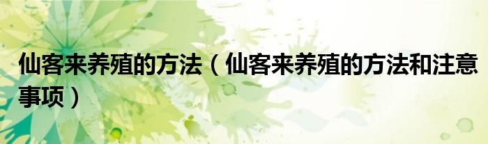仙客来养殖的方法（仙客来养殖的方法和注意事项）