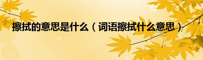 擦拭的意思是什么（词语擦拭什么意思）