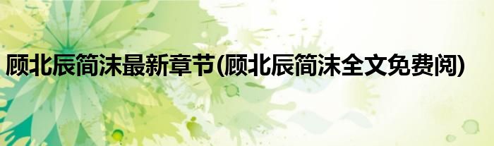 顾北辰简沫最新章节(顾北辰简沫全文免费阅)