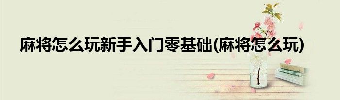 麻将怎么玩新手入门零基础(麻将怎么玩)