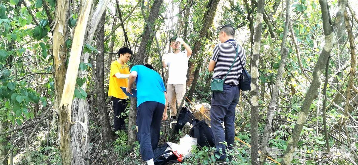 七子花失踪115年后重现湖北