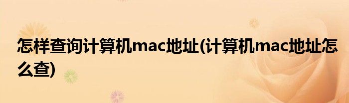 怎样查询计算机mac地址(计算机mac地址怎么查)