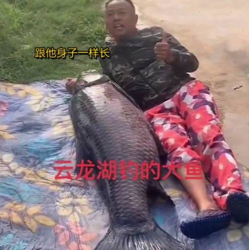 加餐！上海大爷站在阳台上钓起8斤野生大鲤鱼，楼下邻居帮忙抄鱼