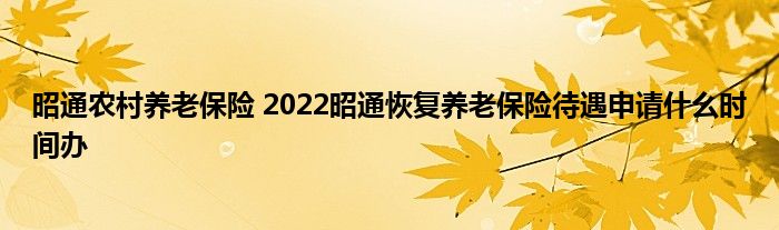 昭通农村养老保险 2022昭通恢复养老保险待遇申请什么时间办