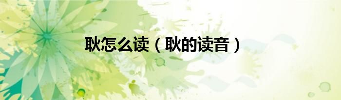 耿怎么读（耿的读音）