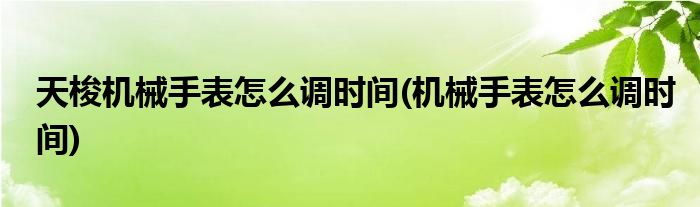 天梭机械手表怎么调时间(机械手表怎么调时间)