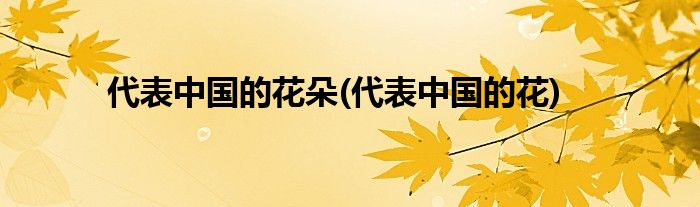 代表中国的花朵(代表中国的花)