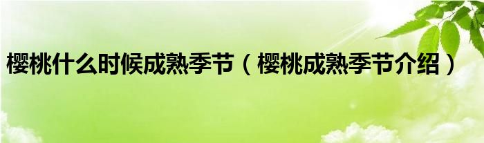 樱桃什么时候成熟季节（樱桃成熟季节介绍）