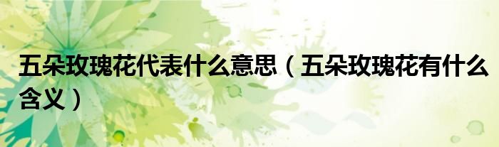 五朵玫瑰花代表什么意思（五朵玫瑰花有什么含义）