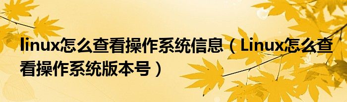 linux怎么查看操作系统信息（Linux怎么查看操作系统版本号）