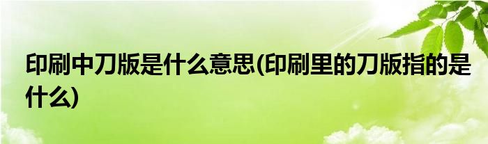 印刷中刀版是什么意思(印刷里的刀版指的是什么)