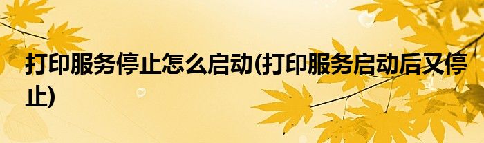 打印服务停止怎么启动(打印服务启动后又停止)