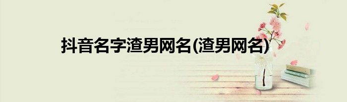 抖音名字渣男网名(渣男网名)