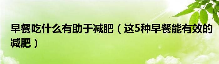 早餐吃什么有助于减肥（这5种早餐能有效的减肥）