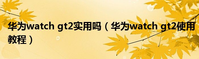 华为watch gt2实用吗（华为watch gt2使用教程）