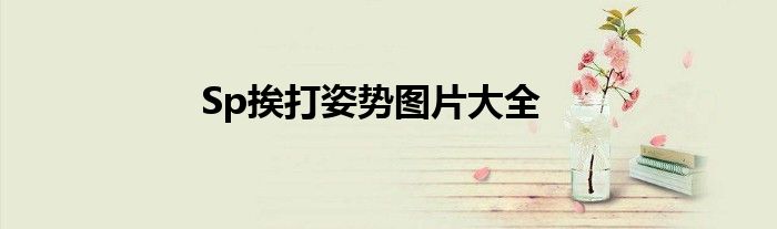 Sp挨打姿势图片大全
