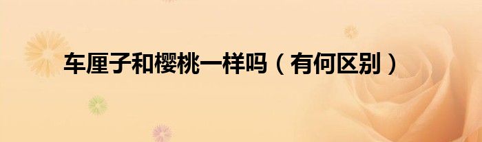 车厘子和樱桃一样吗（有何区别）