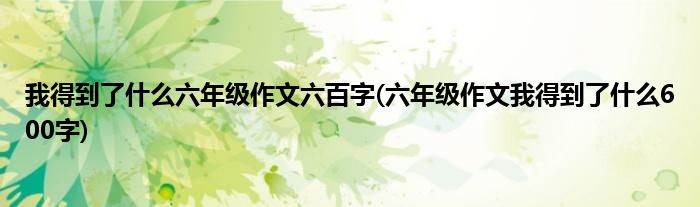 我得到了什么六年级作文六百字(六年级作文我得到了什么600字)