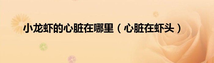 小龙虾的心脏在哪里（心脏在虾头）
